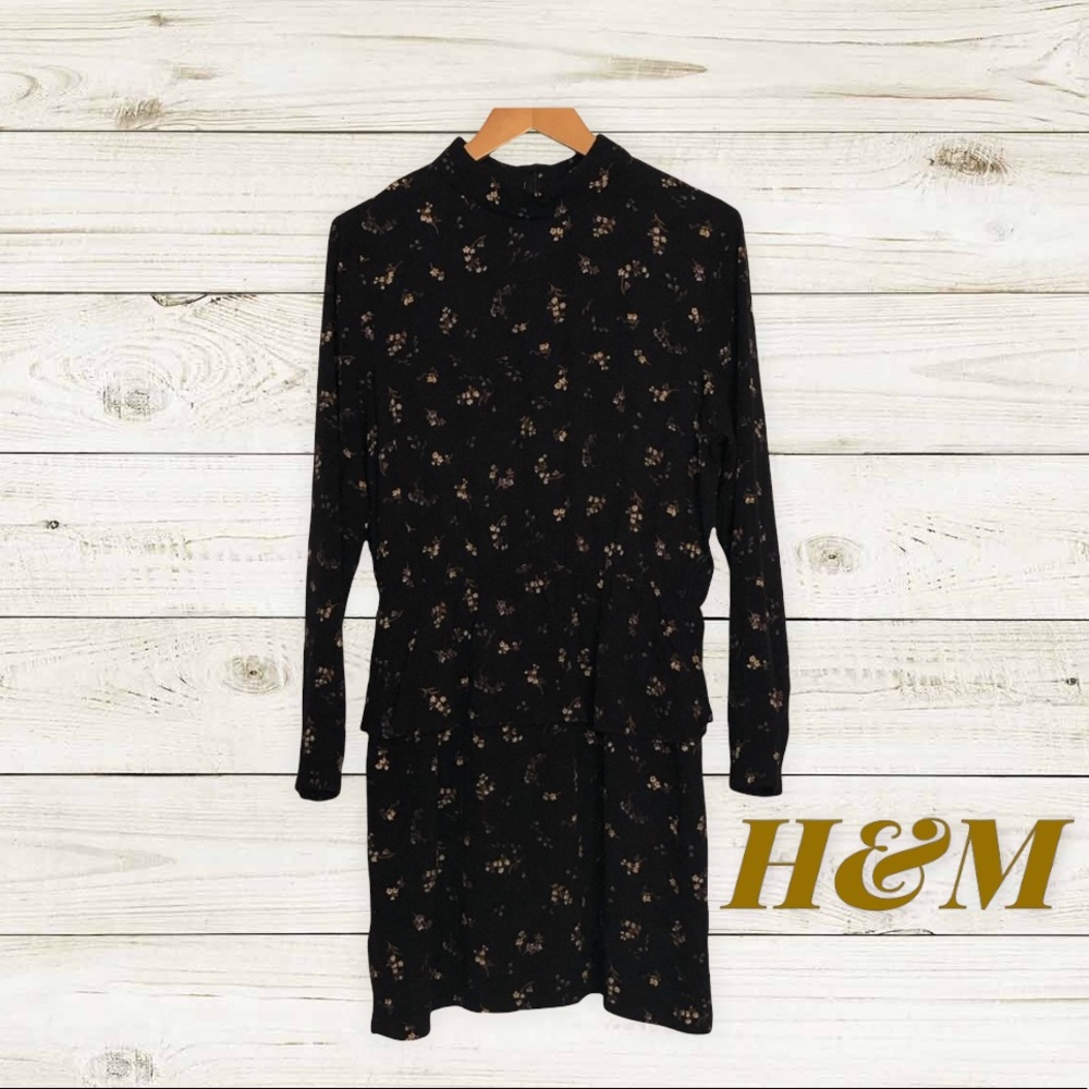 H&M Victorian Inspired Long Sleeve Mini Dress